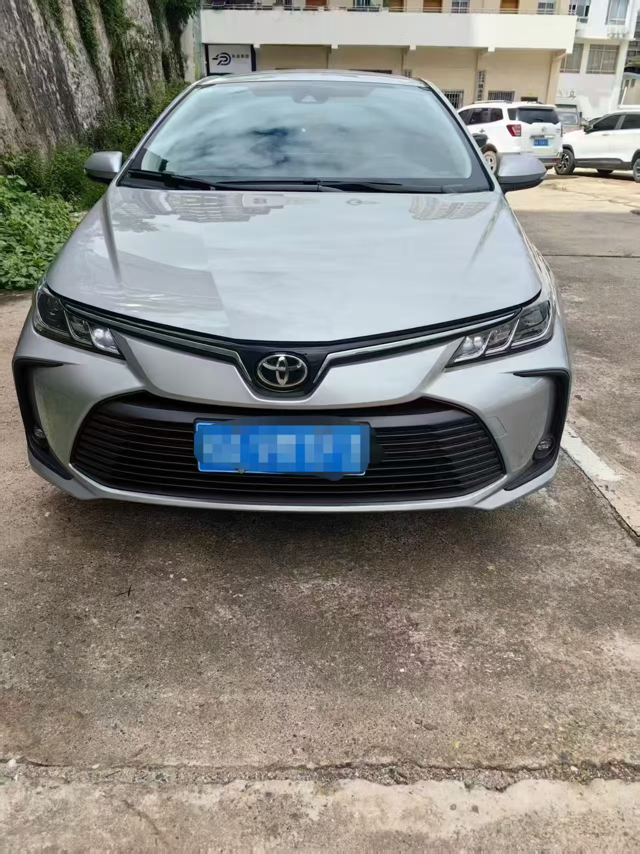 ���²�ͼ