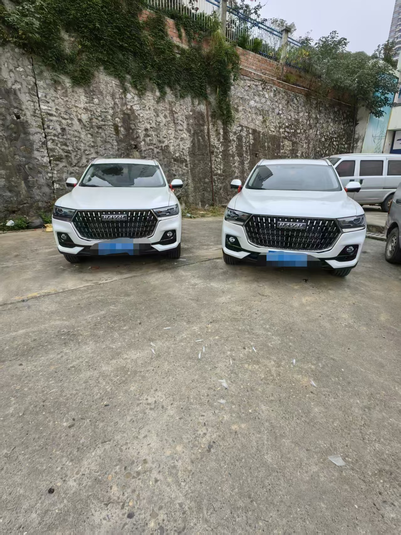 ���²�ͼ